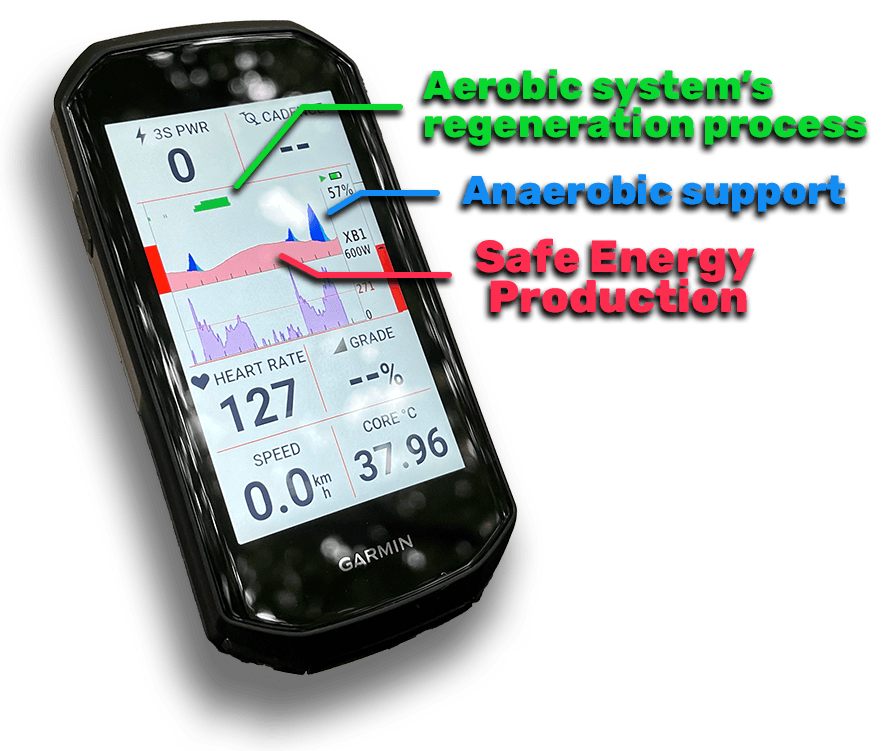 mnsX's Connect IQ datafield